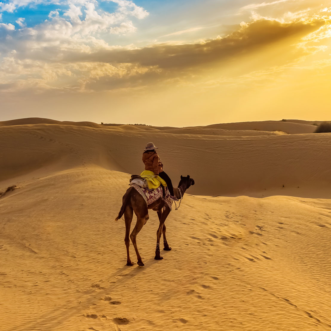 Camel Riding In The Desert